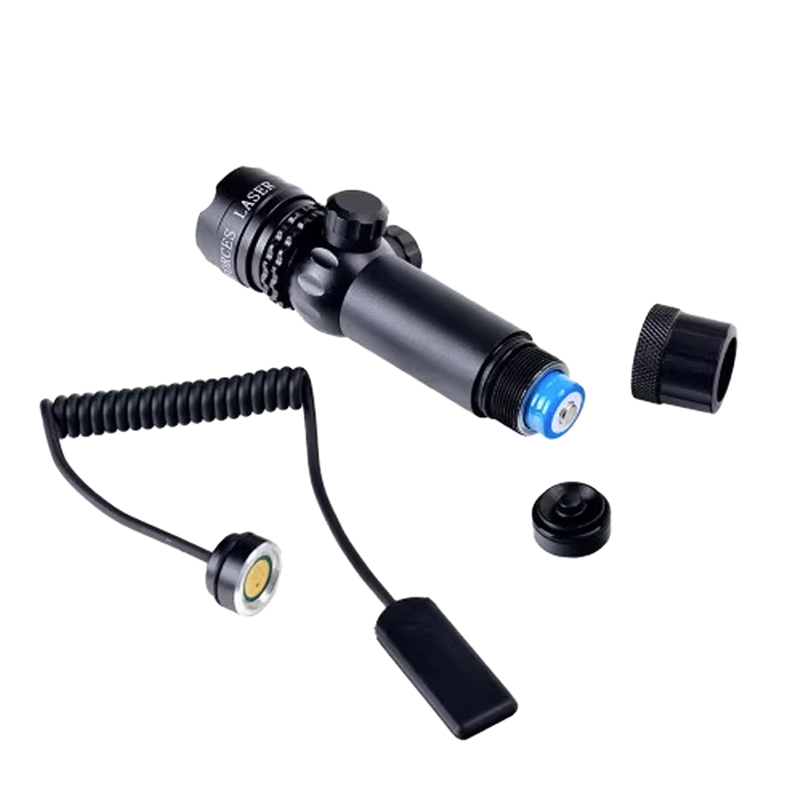 Green Laser Pointer High Power - Industrial Laser Gun recension och pris